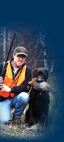 Un excellent chien de chasse.