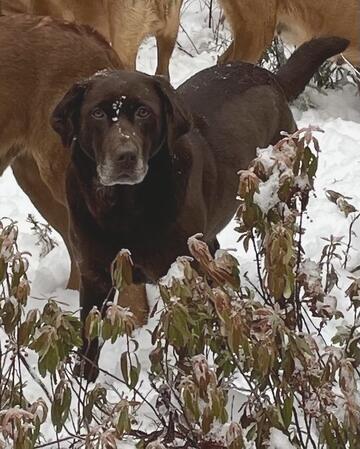 Aucune photo pour : RIVEBLANCHE NOMADE