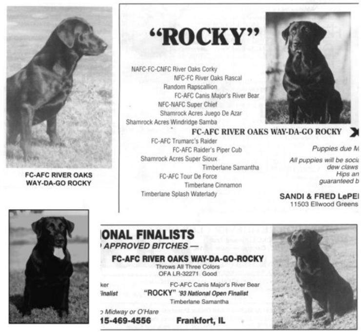 FC AFC RIVER OAKS WAY-DA-GO ROCKY