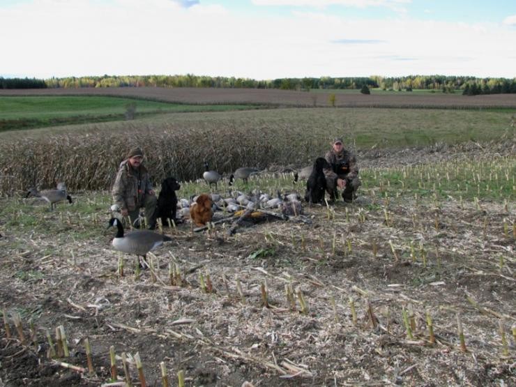 Aucune photo pour : CHASSE OUTARDE