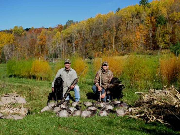 Aucune photo pour : CHASSE OUTARDE