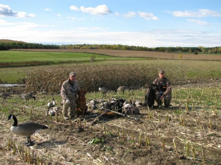 Aucune photo pour : CHASSE OUTARDE