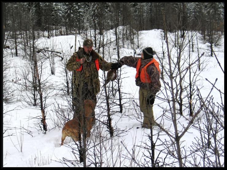 Aucune photo pour : CHASSE AUX FAISANS