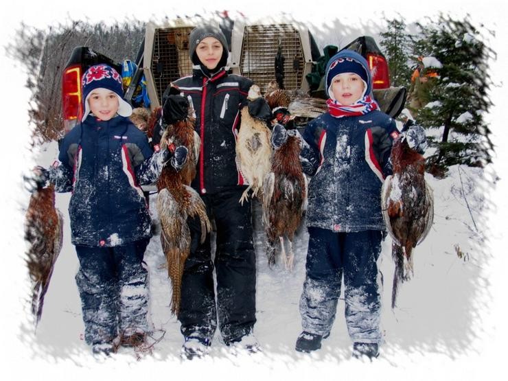 Aucune photo pour : CHASSE AUX FAISANS