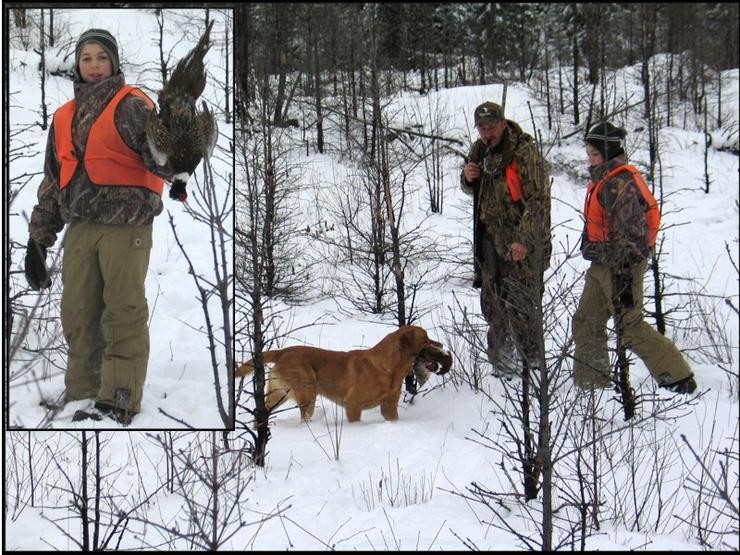 Aucune photo pour : CHASSE AUX FAISANS