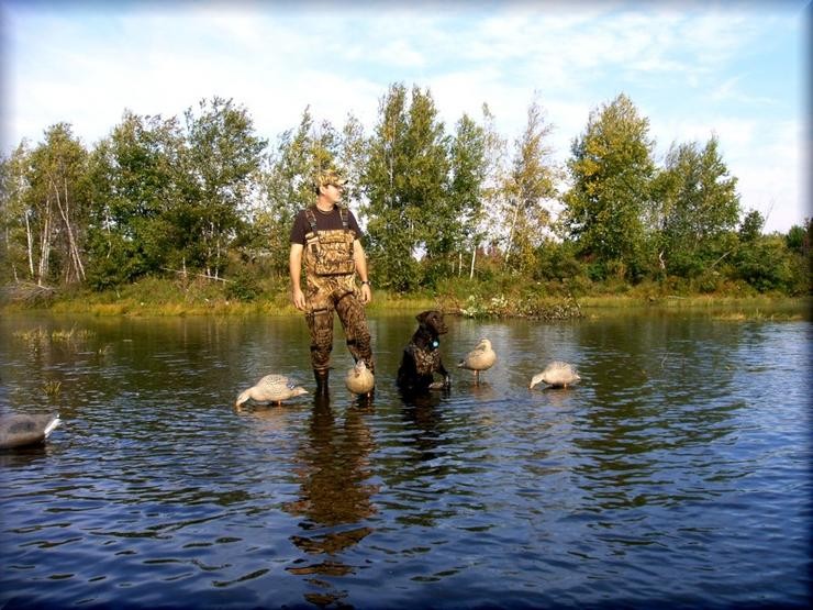 Aucune photo pour : CHASSE SAVAGINE