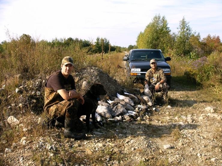 Aucune photo pour : CHASSE OUTARDE