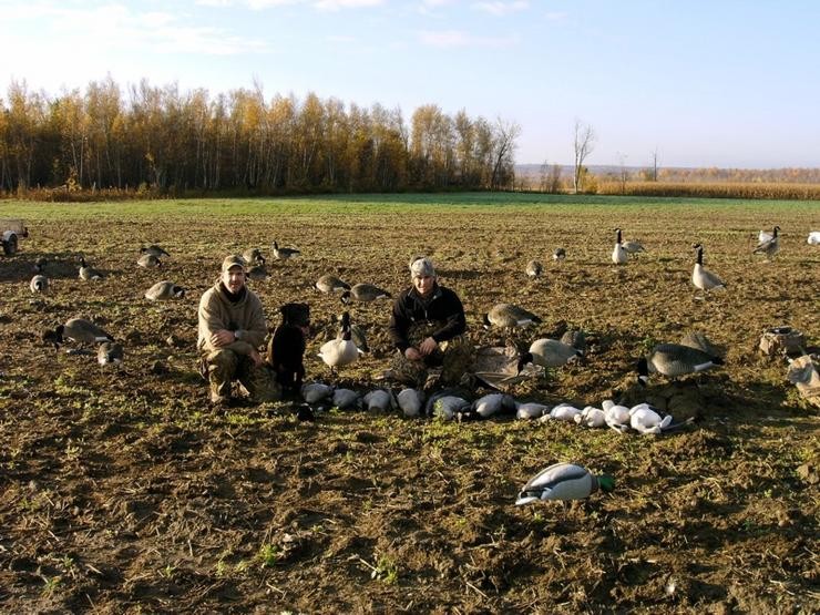 Aucune photo pour : CHASSE OUTARDE