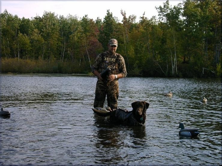 Aucune photo pour : CHASSE CANARD