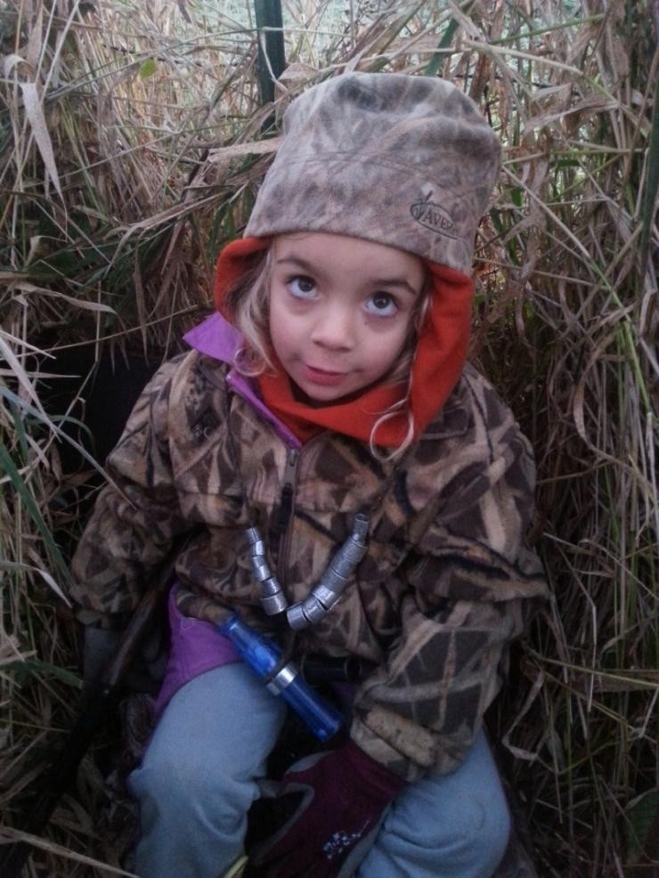 Aucune photo pour : CHASSE OUTARDE