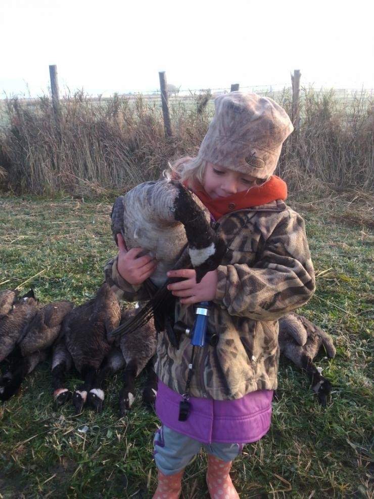 Aucune photo pour : CHASSE OUTARDE