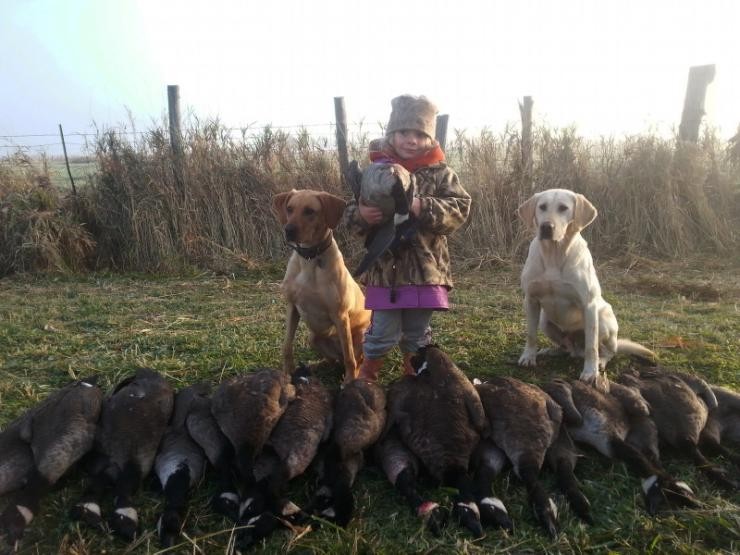 Aucune photo pour : CHASSE OUTARDE