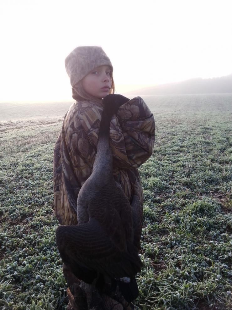 Aucune photo pour : CHASSE OUTARDE