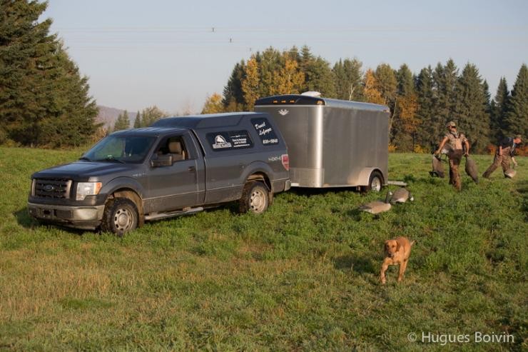 Aucune photo pour : CHASSE OUTARDE