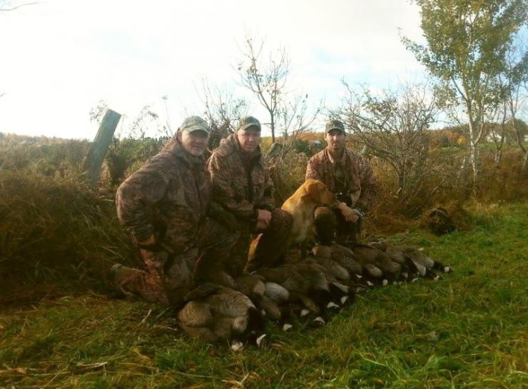 Aucune photo pour : CHASSE OUTARDE