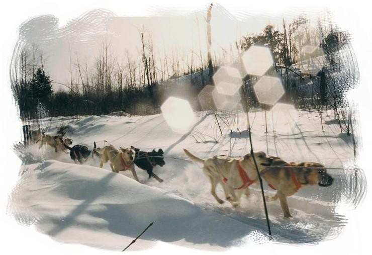 Aucune photo pour : RANDONNÉ TRAINEAU