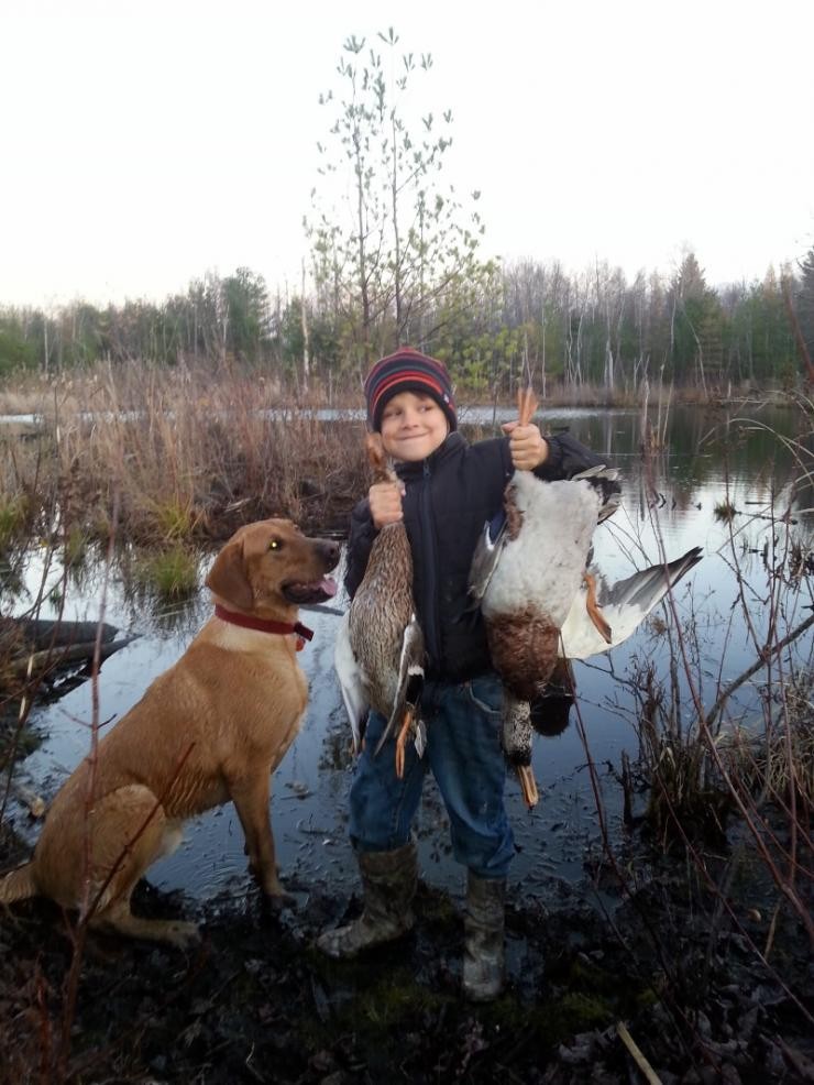 Aucune photo pour : CHASSE OUTARDE