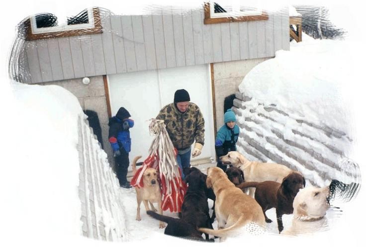 Aucune photo pour : RANDONNÉ TRAINEAU