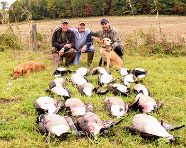 Aucune photo pour : CHASSE OUTARDES