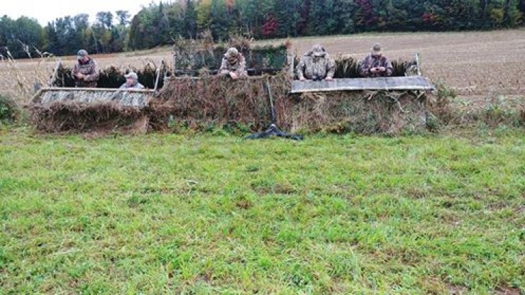 Aucune photo pour : CHASSE OUTARDES