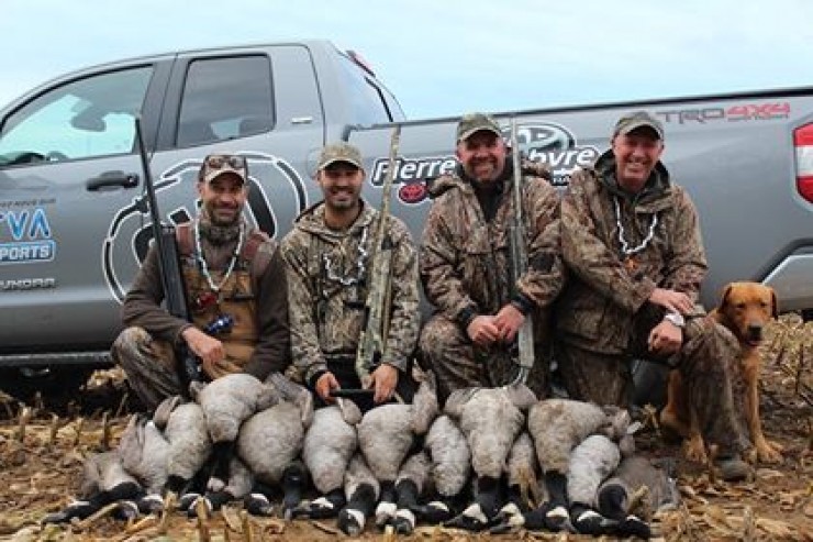 Aucune photo pour : CHASSE OUTARDES