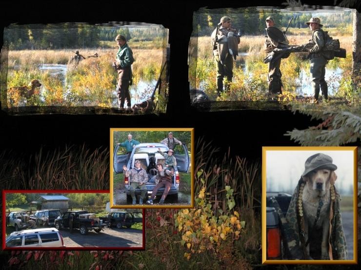 Aucune photo pour : CHASSE AUX MARAIS