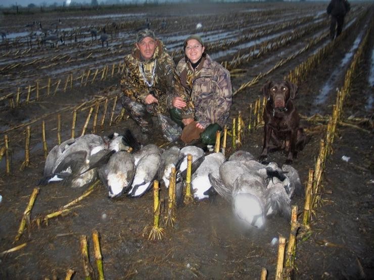 Aucune photo pour : CHASSE OUTARDE