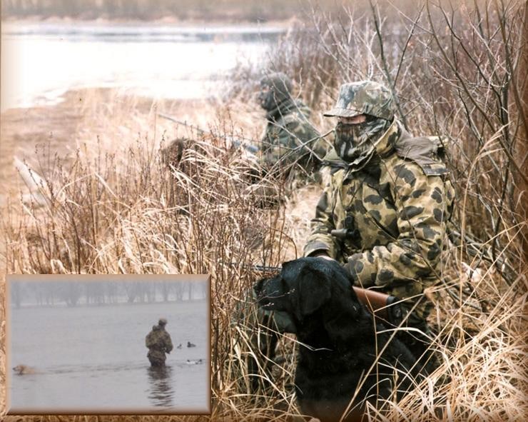 Aucune photo pour : CHASSE FIN SAISON
