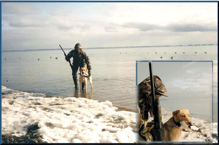 Aucune photo pour :  CHASSE SAUVAGINE
