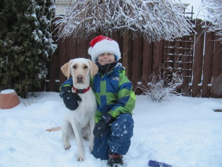 Aucune photo pour : FAMILLE BERNIER