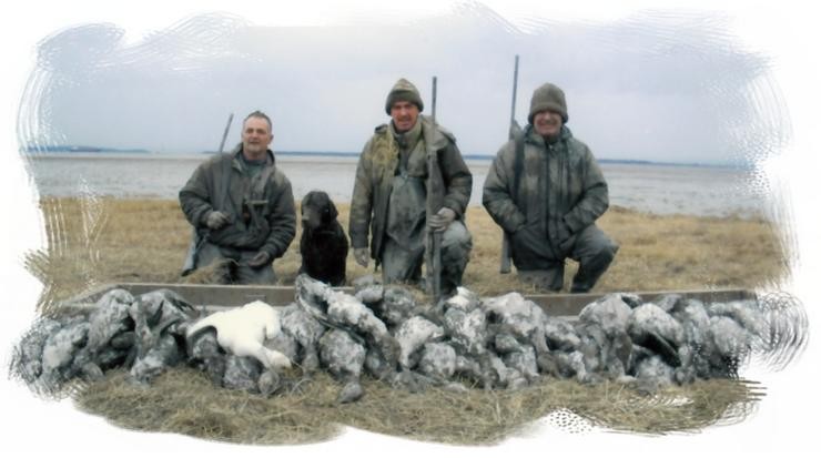Aucune photo pour : CHASSE SAUVAGINE