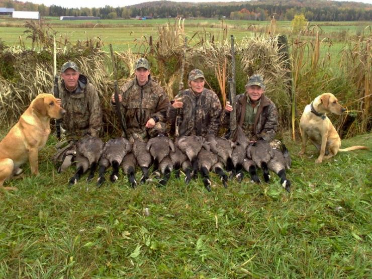 Aucune photo pour : CHASSE OUTARDE
