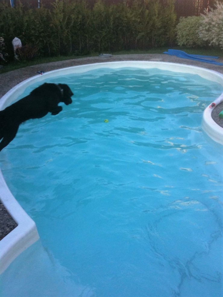 Aucune photo pour : MIA, ROBERTO