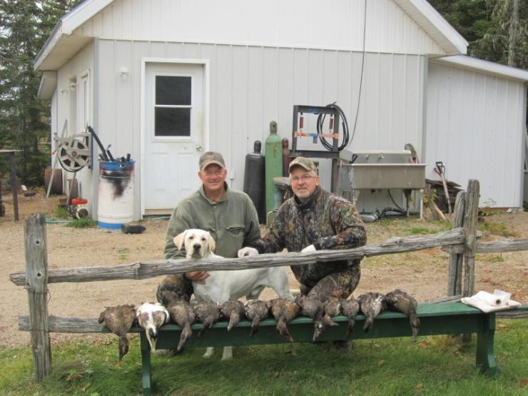 Aucune photo pour : PETER TREMBLAY