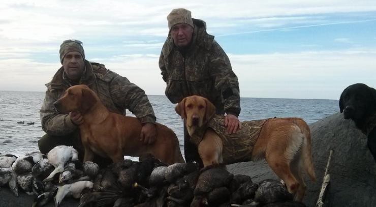 Aucune photo pour : CHASSE CANARD DE MER