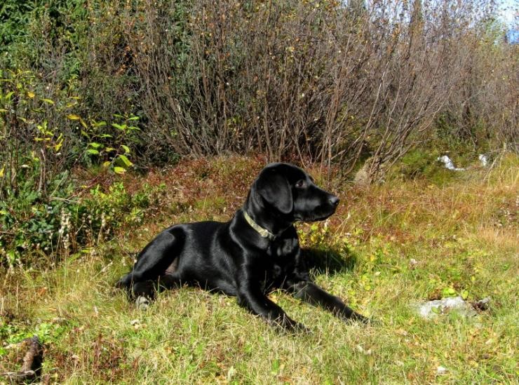 Aucune photo pour : JACK, MARTINE THIBAU