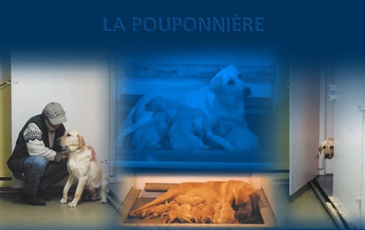 Aucune photo pour : 