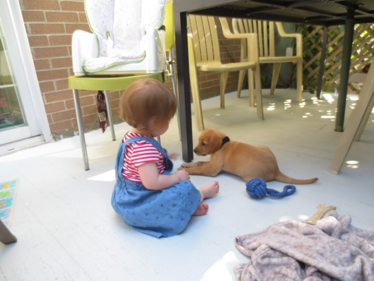 Aucune photo pour : MARNIE , SA COMPLICE