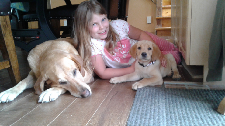 Aucune photo pour : SALLY