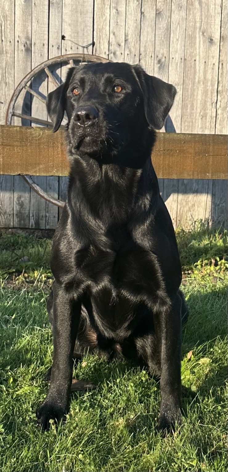 Aucune photo pour : RIVEBLANCHE MOYAK