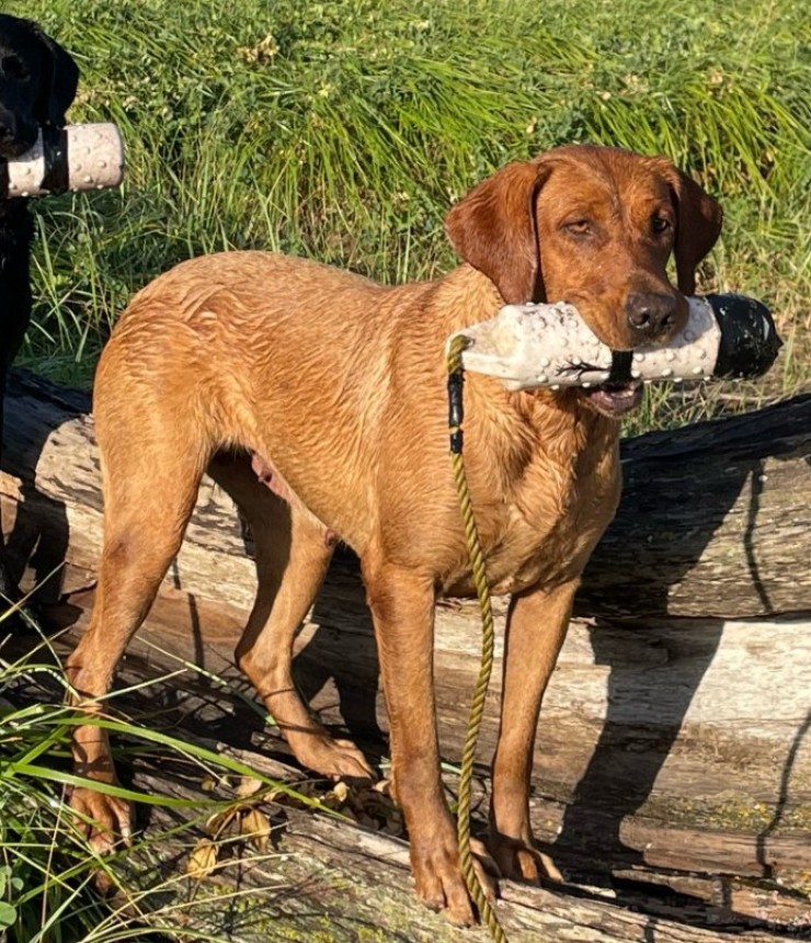 Aucune photo pour : RIVEBLANCHE THALIE