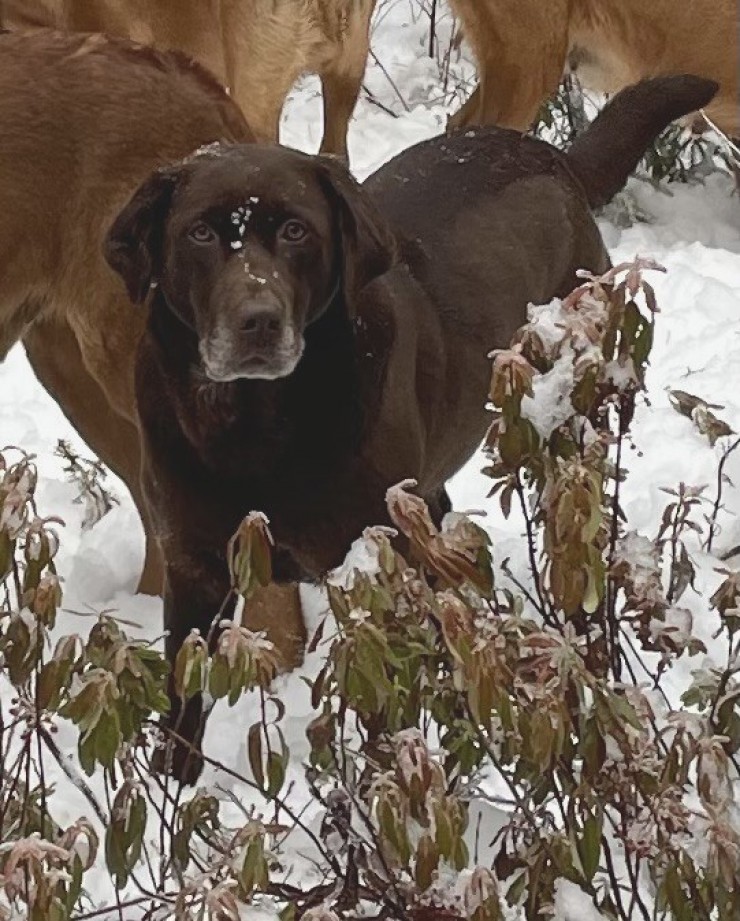 Aucune photo pour : RIVEBLANCHE NOMADE